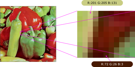 Computerized image organized using pixels showing RGB values for sample pixels